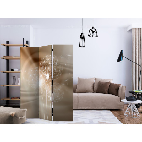 Paravan Solar Illusion [Room Dividers] 135 cm x 172 cm-01