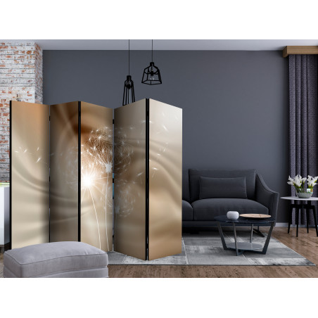 Paravan Solar Illusion Ii [Room Dividers] 225 cm x 172 cm-01