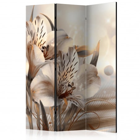 Paravan Princesses Of The Morning [Room Dividers] 135 cm x 172 cm-01