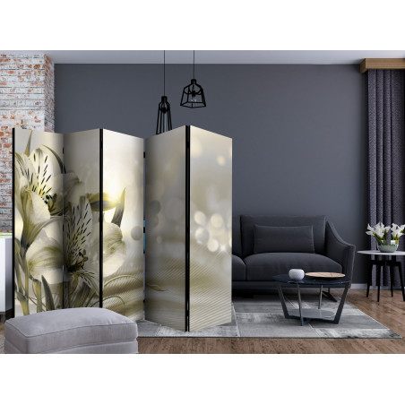 Paravan Green Daybreak Ii [Room Dividers] 225 cm x 172 cm-01