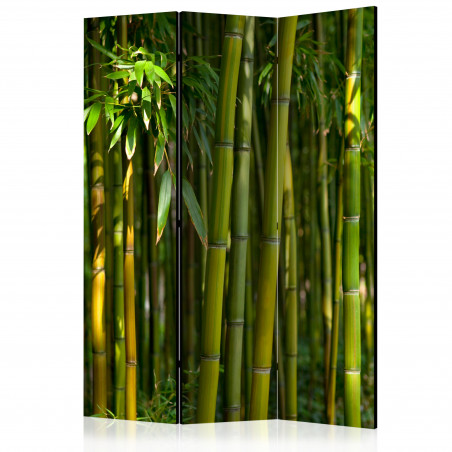 Paravan Oriental Garden [Room Dividers] 135 cm x 172 cm-01