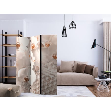 Paravan Treasures Of Elegance [Room Dividers] 135 cm x 172 cm-01