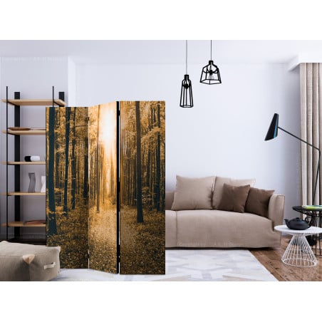 Paravan Magical Light [Room Dividers] 135 cm x 172 cm-01