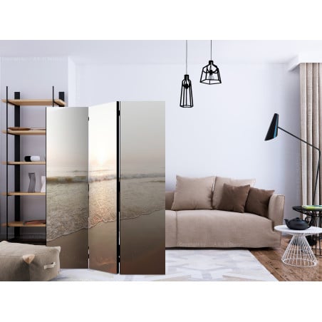 Paravan Magnificent Morning [Room Dividers] 135 cm x 172 cm-01