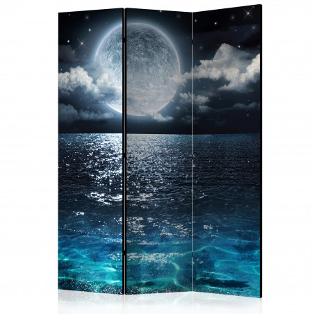 Paravan Blue Lagoon [Room Dividers] 135 cm x 172 cm-01