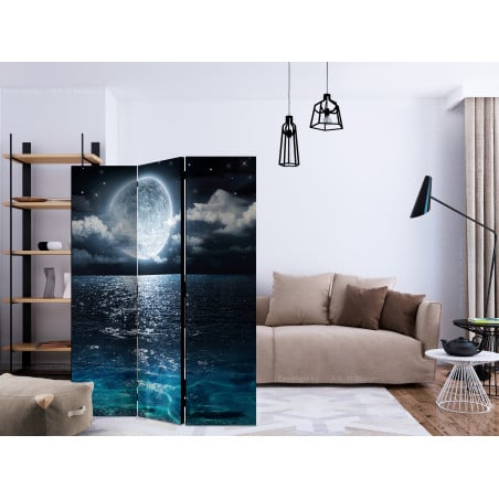 Paravan Blue Lagoon [Room Dividers] 135 cm x 172 cm-01