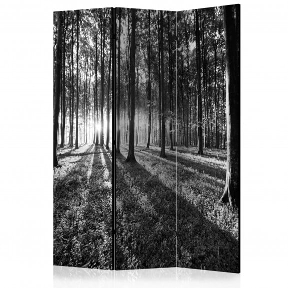 Paravan Grey Wilderness [Room Dividers] 135 cm x 172 cm