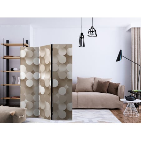 Paravan Gold Net [Room Dividers] 135 cm x 172 cm-01