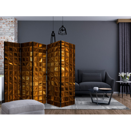 Paravan Riddle Of The Majesty Ii [Room Dividers] 225 cm x 172 cm-01