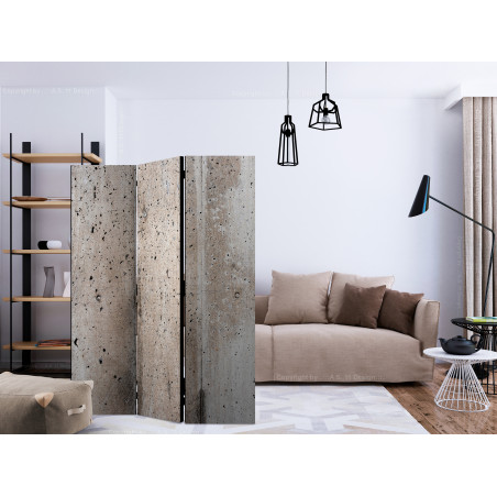 Paravan Old Concrete [Room Dividers] 135 cm x 172 cm-01