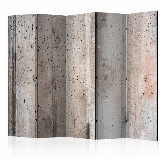 Paravan Old Concrete Ii [Room Dividers] 225 cm x 172 cm