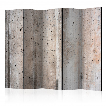 Paravan Old Concrete Ii [Room Dividers] 225 cm x 172 cm-01