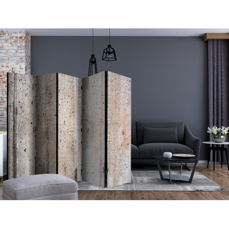 Paravan Old Concrete Ii [Room Dividers] 225 cm x 172 cm-01