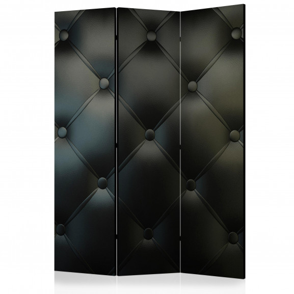 Paravan Distinguished Elegance [Room Dividers] 135 cm x 172 cm