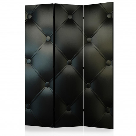 Paravan Distinguished Elegance [Room Dividers] 135 cm x 172 cm-01