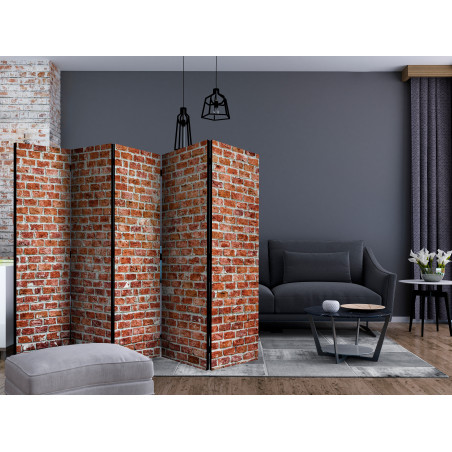 Paravan Red Rock Ii [Room Dividers] 225 cm x 172 cm-01