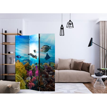 Paravan Coral Reef [Room Dividers] 135 cm x 172 cm-01