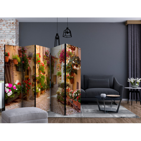 Paravan The Alley In Spello (Italy) Ii [Room Dividers] 225 cm x 172 cm-01