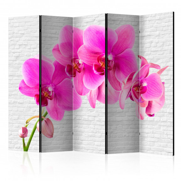 Paravan Pink Excitation Ii [Room Dividers] 225 cm x 172 cm