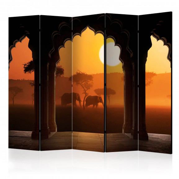 Paravan Hear Africa Ii [Room Dividers] 225 cm x 172 cm