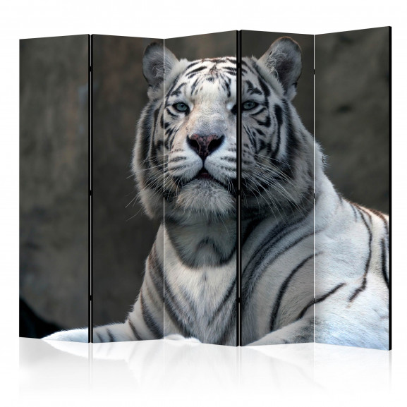 Paravan Bengali Tiger In Zoo Ii [Room Dividers] 225 cm x 172 cm