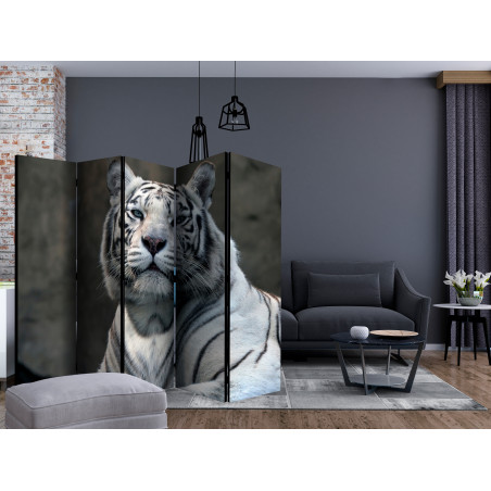 Paravan Bengali Tiger In Zoo Ii [Room Dividers] 225 cm x 172 cm-01