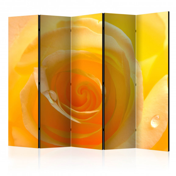 Paravan Yellow Rose Ii [Room Dividers] 225 cm x 172 cm