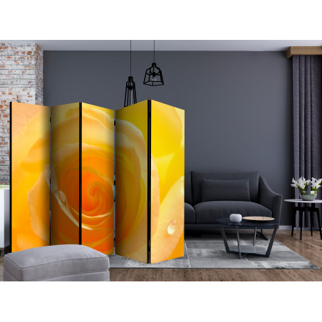 Paravan Yellow Rose Ii [Room Dividers] 225 cm x 172 cm-01