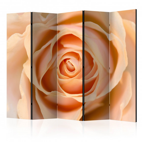 Paravan Peach-Colored Rose Ii [Room Dividers] 225 cm x 172 cm