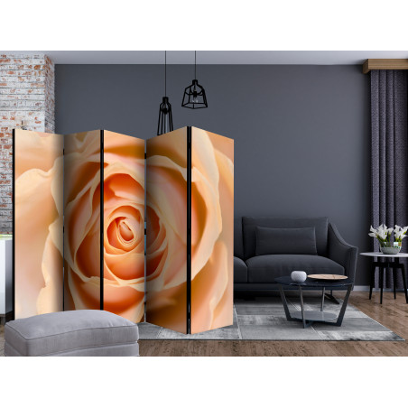 Paravan Peach-Colored Rose Ii [Room Dividers] 225 cm x 172 cm-01