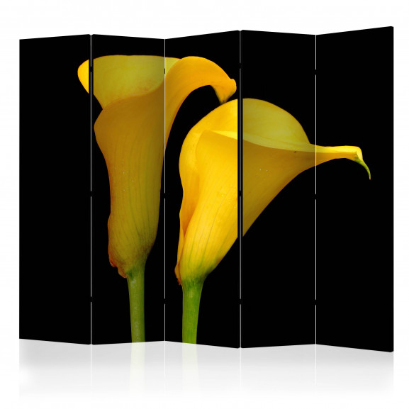 Paravan Two Yellow Calla Flowers On A Black Background Ii [Room Dividers] 225 cm x 172 cm