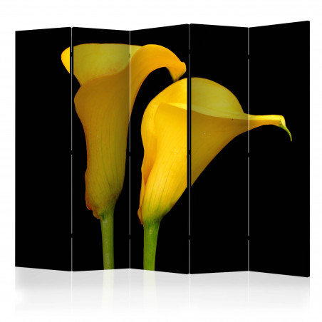 Paravan Two Yellow Calla Flowers On A Black Background Ii [Room Dividers] 225 cm x 172 cm-01