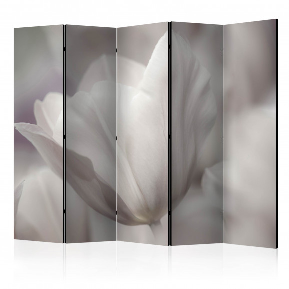 Paravan Tulip Black And White Photo Ii [Room Dividers] 225 cm x 172 cm