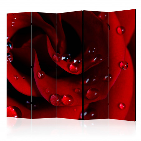 Paravan Red Rose With Water Drops Ii [Room Dividers] 225 cm x 172 cm-01