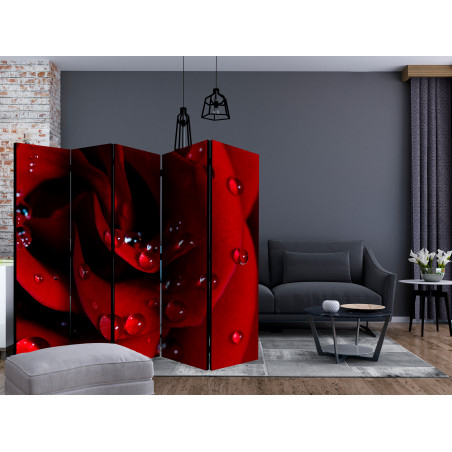 Paravan Red Rose With Water Drops Ii [Room Dividers] 225 cm x 172 cm-01