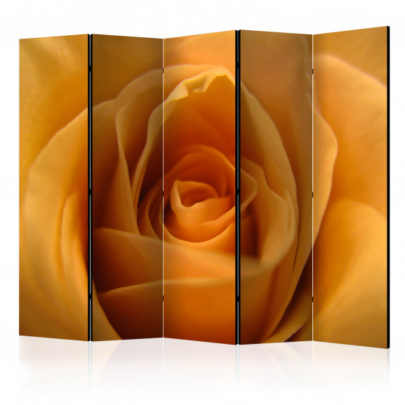 Paravan Yellow Rose – A Symbol Of Friendship Ii [Room Dividers] 225 cm x 172 cm