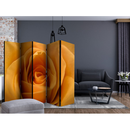 Paravan Yellow Rose – A Symbol Of Friendship Ii [Room Dividers] 225 cm x 172 cm-01