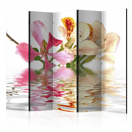 Paravan Tropical Flowers Orchid Tree (Bauhinia) Ii [Room Dividers] 225 cm x 172 cm-01