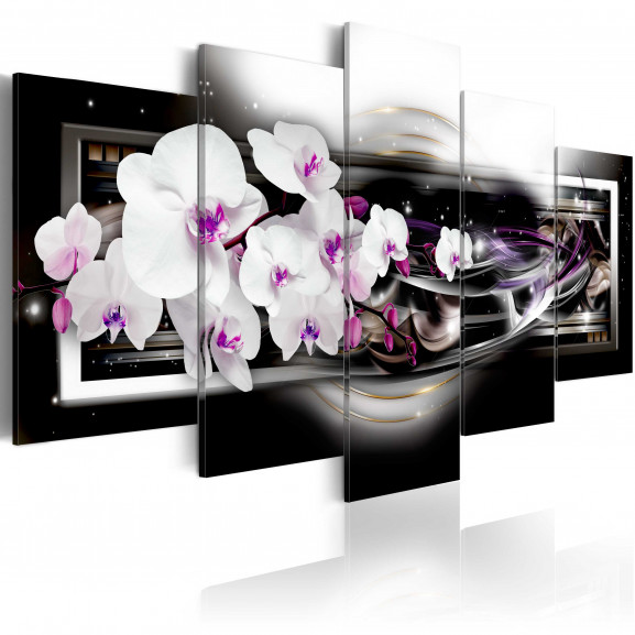 Tablou Orchids On A Black Background