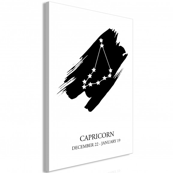 Tablou Zodiac Signs: Capricorn (1 Part) Vertical