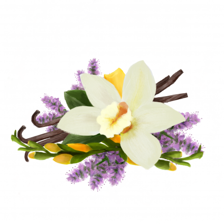 Lumanare Parfumata Patchouli, Freesia & Vanilla-01