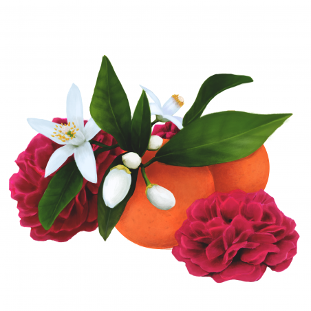 Lumanare Parfumata Velvet Rose & Orange Blossom-01