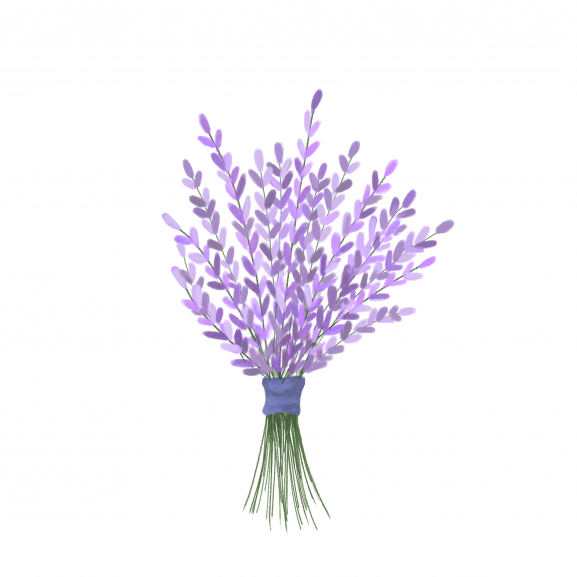 Pastila de Ceara Parfumata Lavender