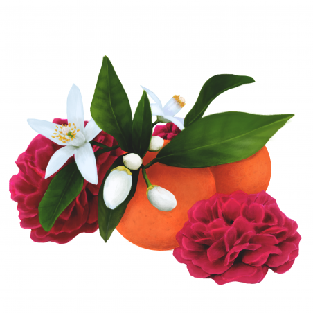 Parfum de Interior Velvet Rose & Orange Blossom-01