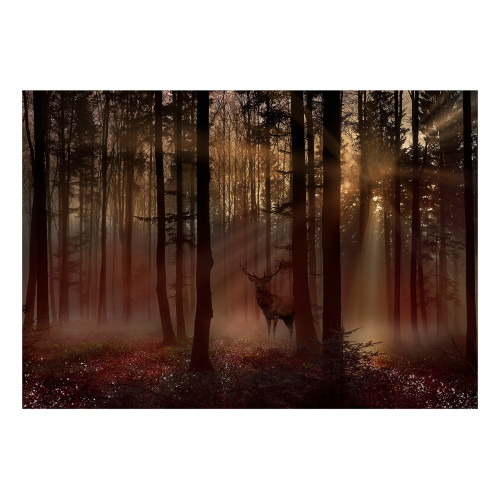 Fototapet Mystical Forest First Variant