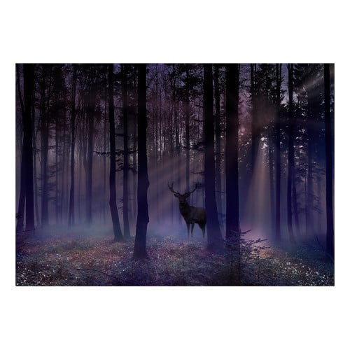Fototapet Mystical Forest Second Variant