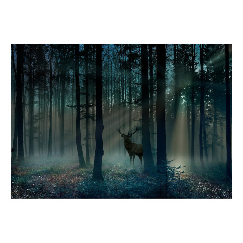 Fototapet Mystical Forest Third Variant