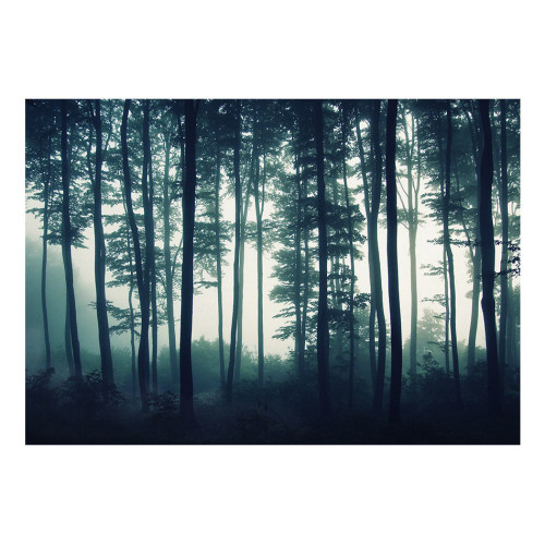 Fototapet Dark Forest