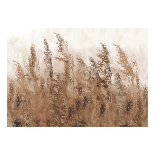 Fototapet Tall Grasses Brown