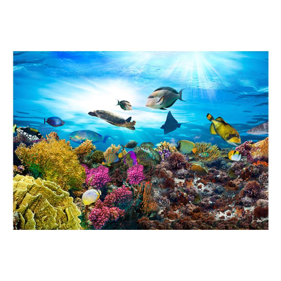 Fototapet autoadeziv Coral reef